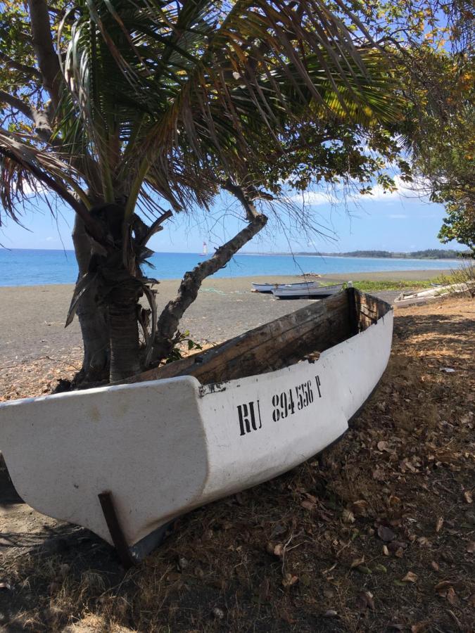 Apartmán Le Reve Tropical 974 Trois Bassins Exteriér fotografie