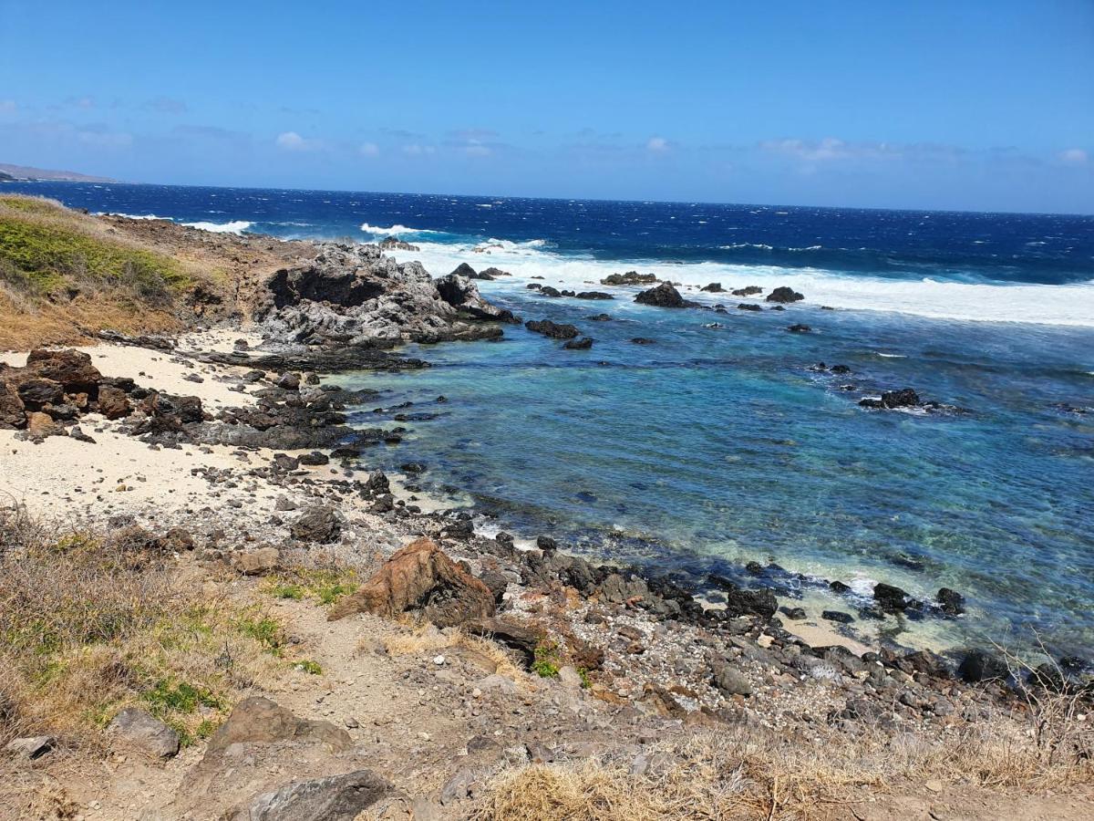 Apartmán Le Reve Tropical 974 Trois Bassins Exteriér fotografie