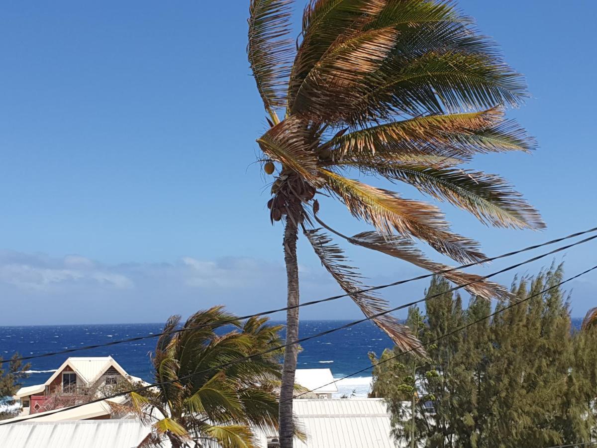 Apartmán Le Reve Tropical 974 Trois Bassins Exteriér fotografie